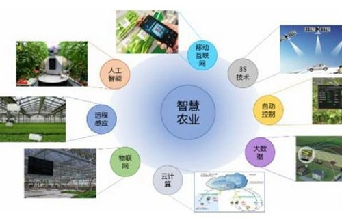 “5G+智慧农业”助推大同黄花产业提档升级